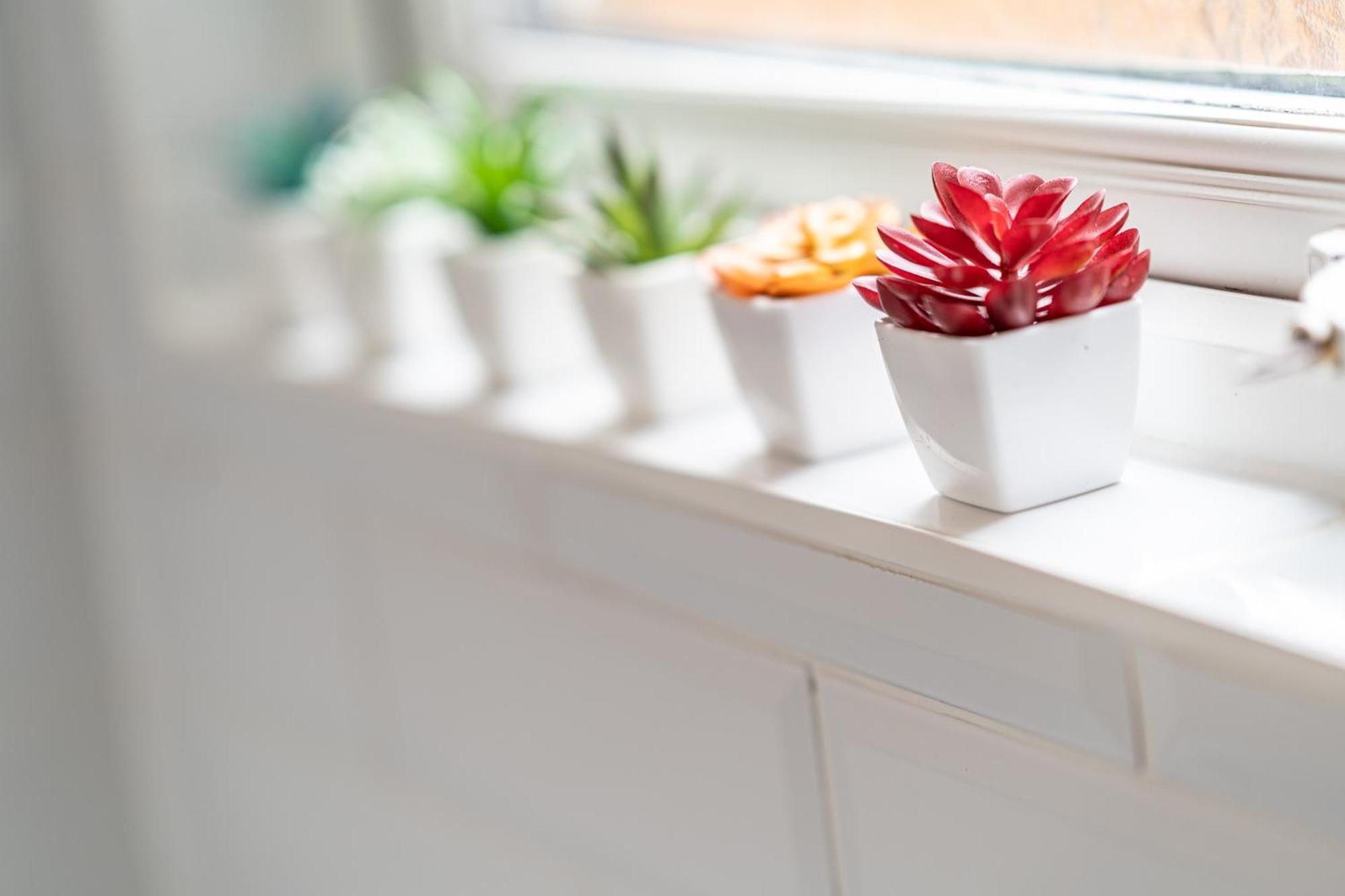 Beautiful 2 Bedroom With Private Garden In Wimbledon - Minutes From Central לונדון מראה חיצוני תמונה